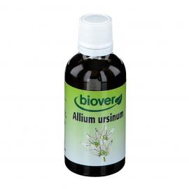 Biover Allium Ursinum