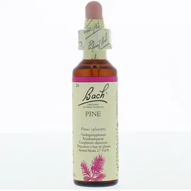 Bach Flower Remedie 24 Pine