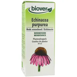 Biover Echinacea Purpurea