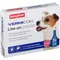 Image 1 Pour beaphar® Vermicon Line-On pour petits chiens