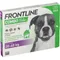 Image 1 Pour Frontline® Combo® Spot-On Chien L 20-40 kg