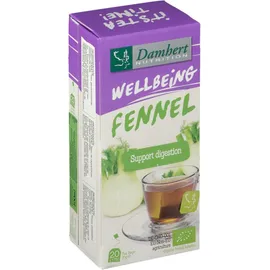 Damhert Wellbeing Thé Fenouil