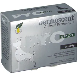 Dermoscent® PyoSpot Chien 20-40 Kg