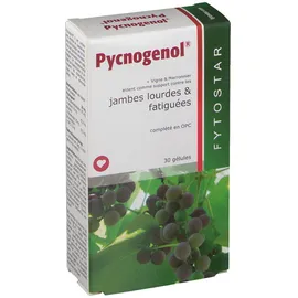 Fytostar Pycnogenol®