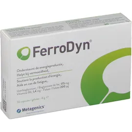 FerroDyn®
