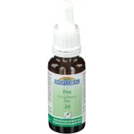 Biofloral 24 - Pine - Pin sylvestre - 20 ml