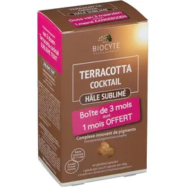 Biocyte Terracotta Cocktail Hâle Sublimé