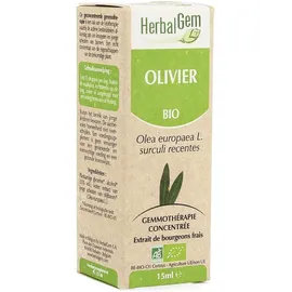 Herbalgem olivier macérat bio