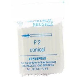 Proximal brushes conical P2