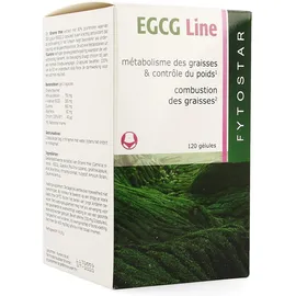 Fytostar EGCG Line paquet maxi