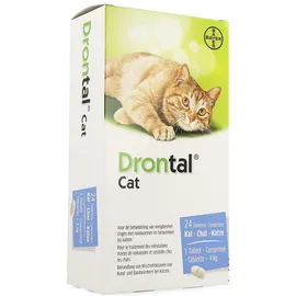 Drontal Chat