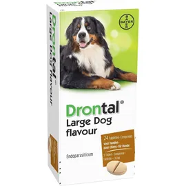 Drontal Large Dog Tasty