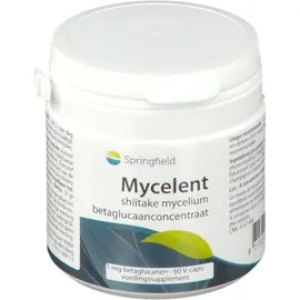 Springfield Mycelent concentré de bêta-glucane de mycélium shiitake