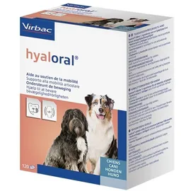 Virbac Hyaloral pour chiens