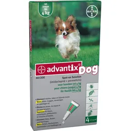 Advantix 40/200 Spot-on pour chiens < 4 kg