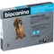 Image 1 Pour biocanina Fiprodog Solution spot-on pour petits chiens
