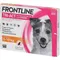 Image 1 Pour Frontline® Tri-Act S pour petits chiens