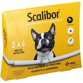 Collier Scalibor pour chien moyen