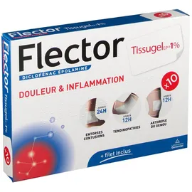Flector Tissugel EP 1 %