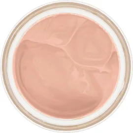Chantecaille Future Skin Foundation Ivoire 30g